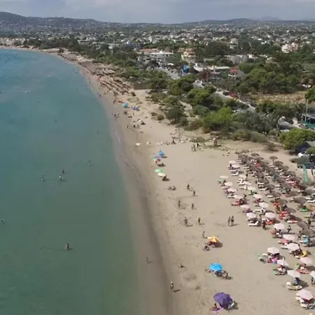 Artemis Bay Near Sea And Airport * Artemida (Attica)
